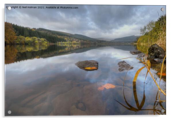 Pentwyn Reservoir, Brecon Beacons Acrylic by Neil Holman