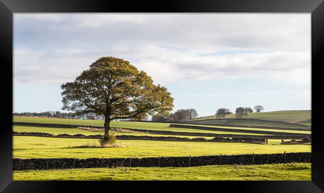 Derbyshire Dales landscape Framed Print by Jason Wells