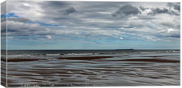 Warkworth Beach Canvas Print by David Pringle