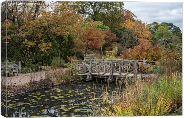 wooden bridge Wisley Canvas Print by Kevin White