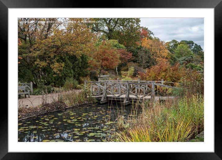 wooden bridge Wisley Framed Mounted Print by Kevin White