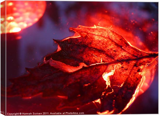 Glowing Leaf Canvas Print by Hannah Scriven