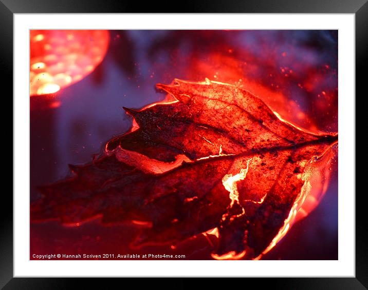 Glowing Leaf Framed Mounted Print by Hannah Scriven