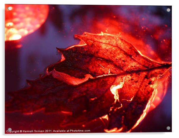 Glowing Leaf Acrylic by Hannah Scriven