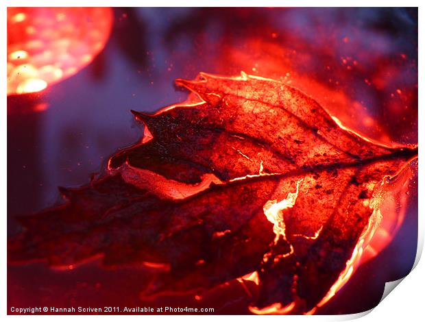 Glowing Leaf Print by Hannah Scriven