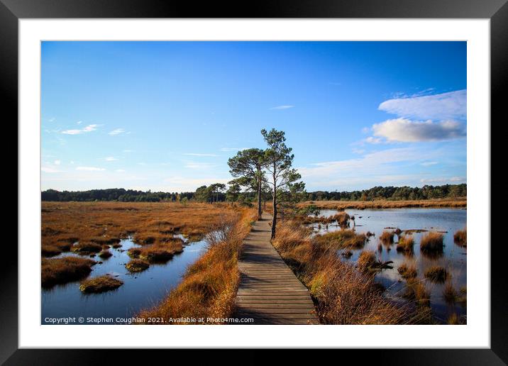 Thursley Nature Reserve Framed Mounted Print by Stephen Coughlan