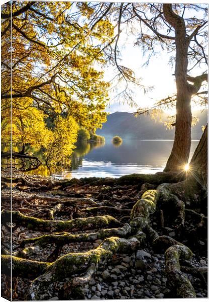 Lake District in autumn Canvas Print by Robbie Spencer