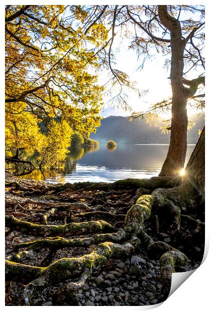 Lake District in autumn Print by Robbie Spencer
