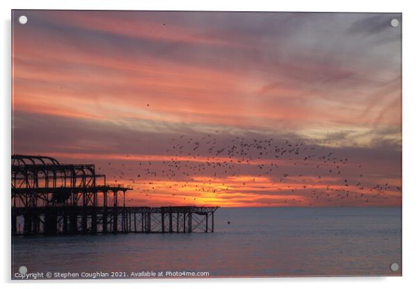 West Pier Sunset Acrylic by Stephen Coughlan