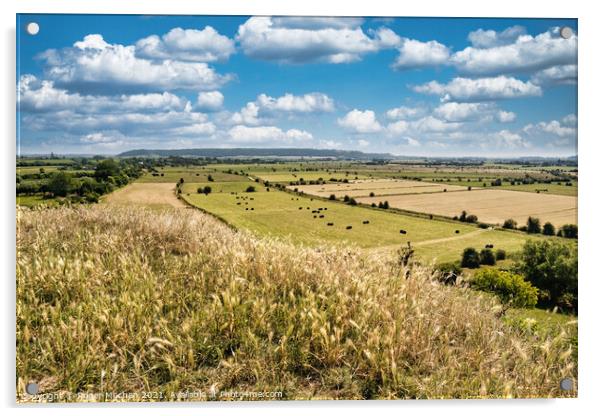 Vastness of Somerset Levels Acrylic by Roger Mechan