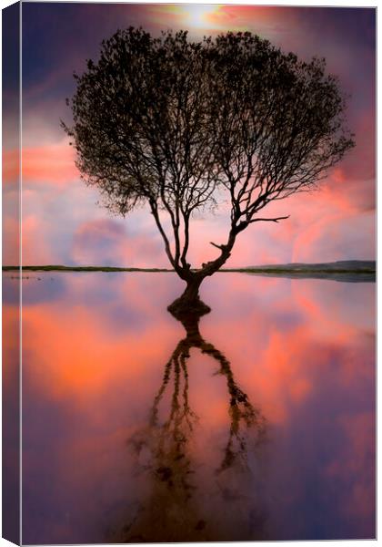 Kenfig Nature reserve and pool Canvas Print by Leighton Collins