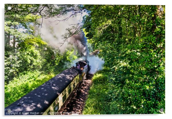 Enchanting Steam Train Journey Acrylic by Roger Mechan