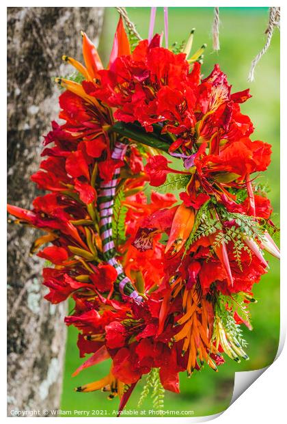 Tropical Flame Tree Flowers Christmas Headwreath Headpiece Moore Print by William Perry