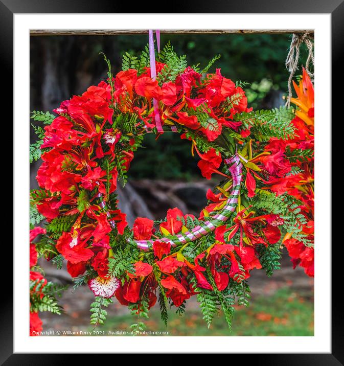 Tropical Flame Tree Flowers Christmas Headwreath Headpiece Moore Framed Mounted Print by William Perry
