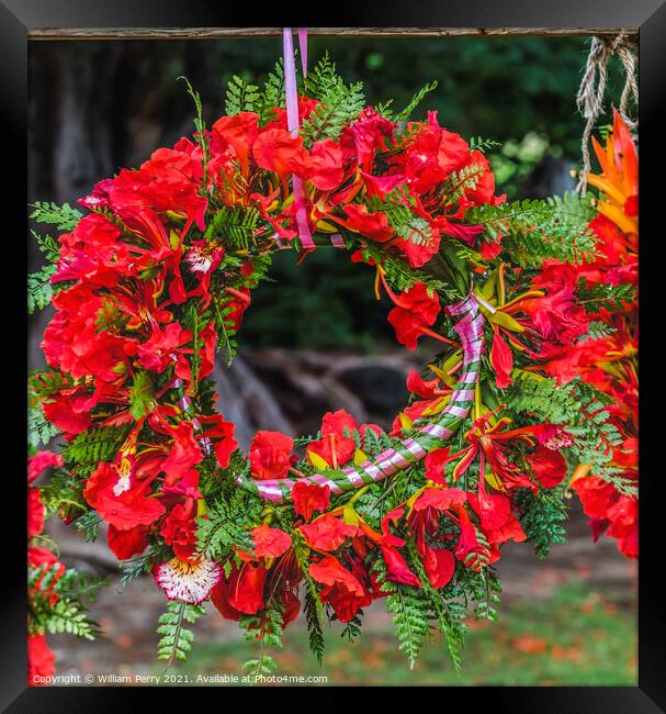 Tropical Flame Tree Flowers Christmas Headwreath Headpiece Moore Framed Print by William Perry