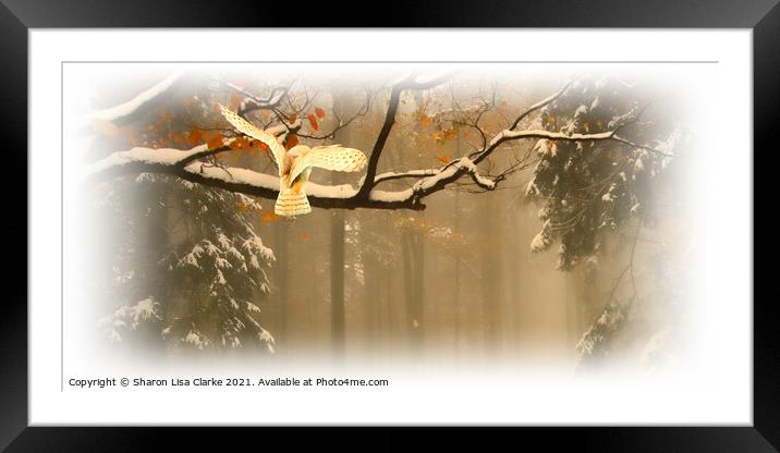 Winters Perch Framed Mounted Print by Sharon Lisa Clarke