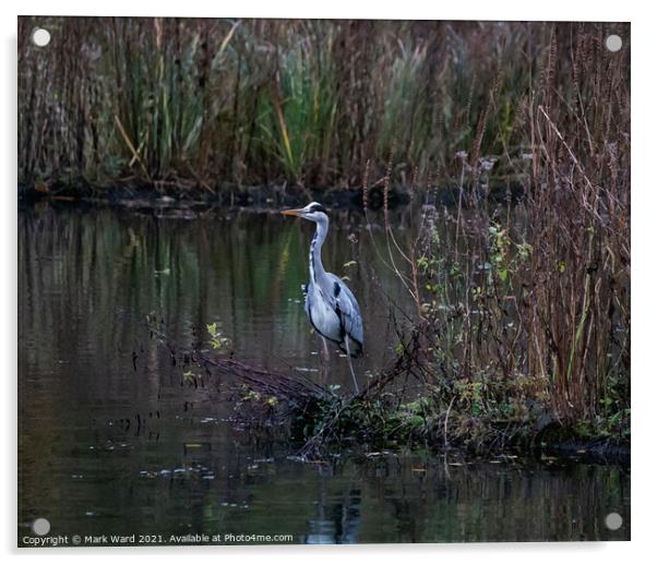 Heron on the Pond Acrylic by Mark Ward