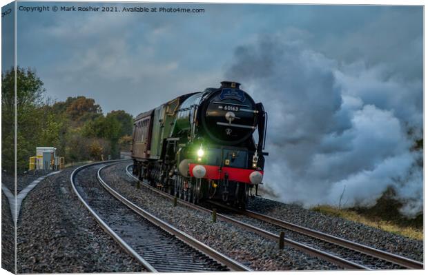 A1 Tornado 60163 rounds Huntingford Embankment Canvas Print by Mark Rosher