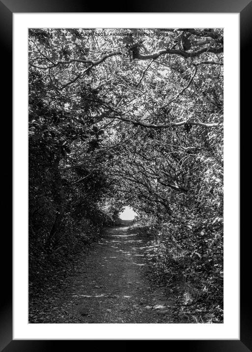 Tree tunnel Framed Mounted Print by Stuart C Clarke