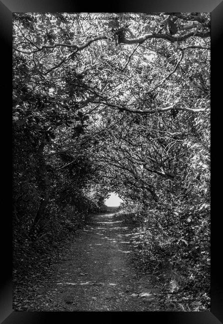 Tree tunnel Framed Print by Stuart C Clarke