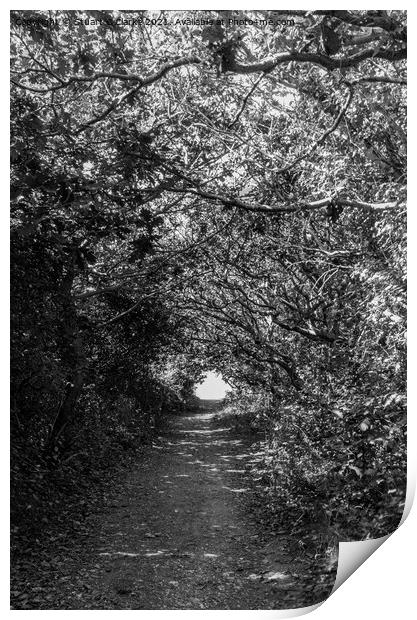 Tree tunnel Print by Stuart C Clarke