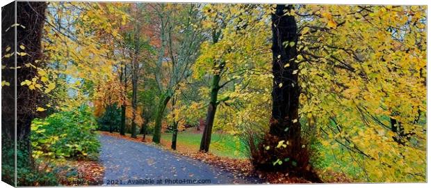 Hurst Grange Park, Autumn Canvas Print by Michele Davis