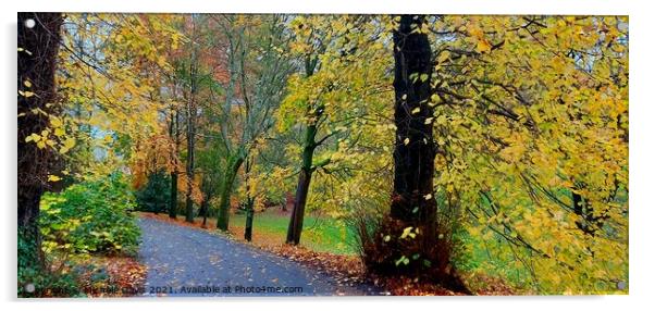 Hurst Grange Park, Autumn Acrylic by Michele Davis