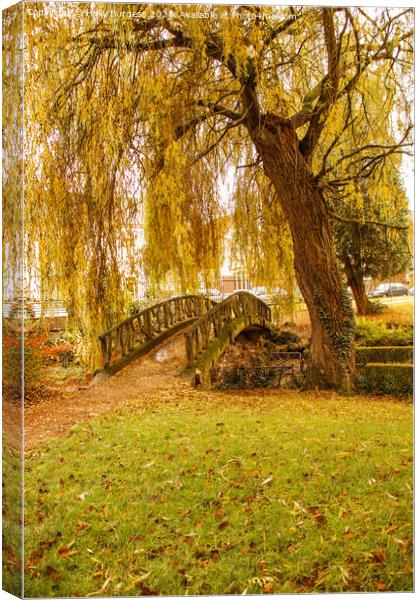 Autumn day in the park golden willow with a small bridge  Canvas Print by Holly Burgess