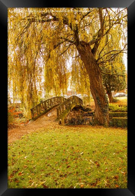 Autumn day in the park golden willow with a small bridge  Framed Print by Holly Burgess