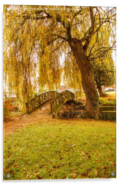 Autumn day in the park golden willow with a small bridge  Acrylic by Holly Burgess
