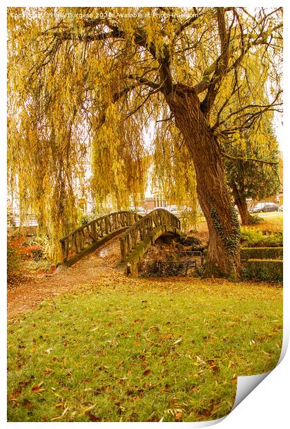 Autumn day in the park golden willow with a small bridge  Print by Holly Burgess