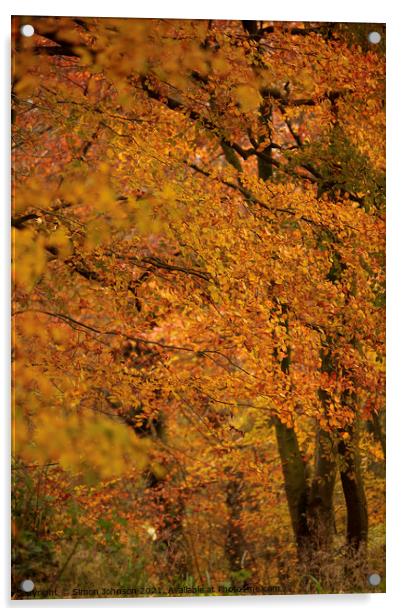 Autumn colour Acrylic by Simon Johnson