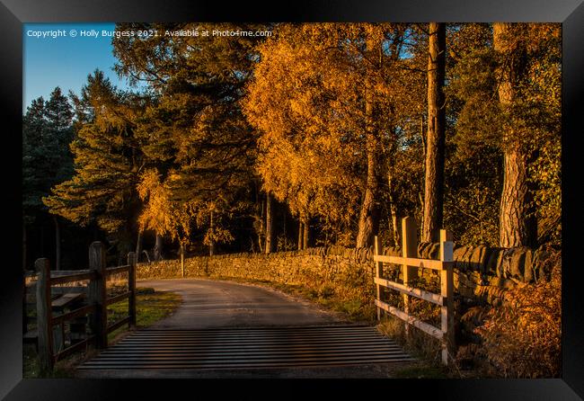 Stanage Edge Derbyshire a Autumn day, golden leaves and walks  Framed Print by Holly Burgess