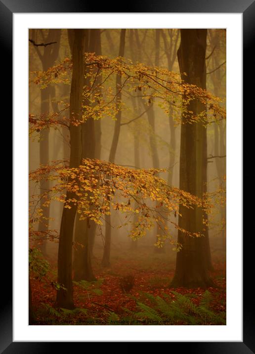 Woodland Mist Framed Mounted Print by Simon Johnson