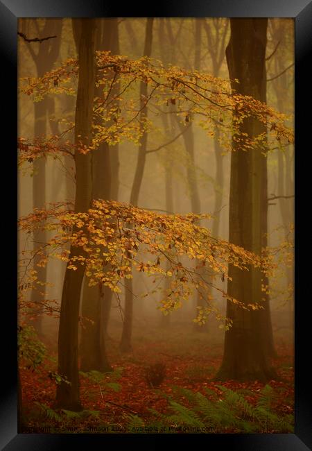 Woodland Mist Framed Print by Simon Johnson
