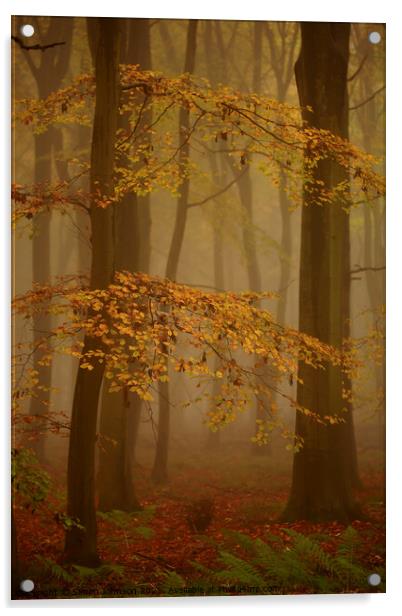 Woodland Mist Acrylic by Simon Johnson