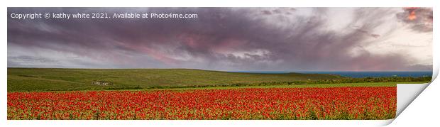 A field of red poppies at sunset Print by kathy white