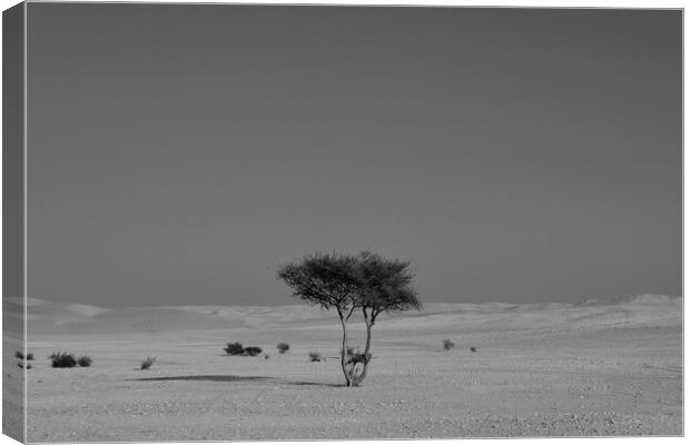 Alone in the desert Canvas Print by Dimitrios Paterakis