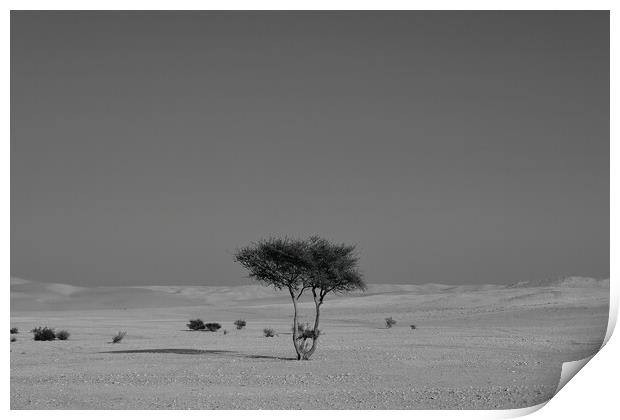 Alone in the desert Print by Dimitrios Paterakis