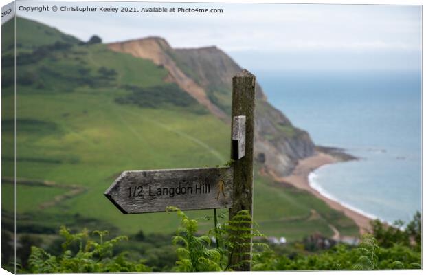Jurassic Coast at Golden Cap Canvas Print by Christopher Keeley