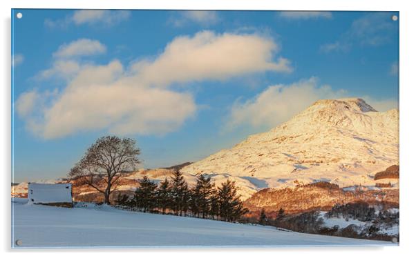 Snow at Ffestiniog Acrylic by Rory Trappe
