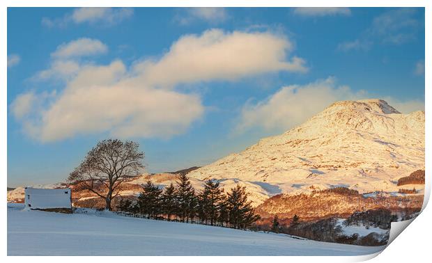 Snow at Ffestiniog Print by Rory Trappe