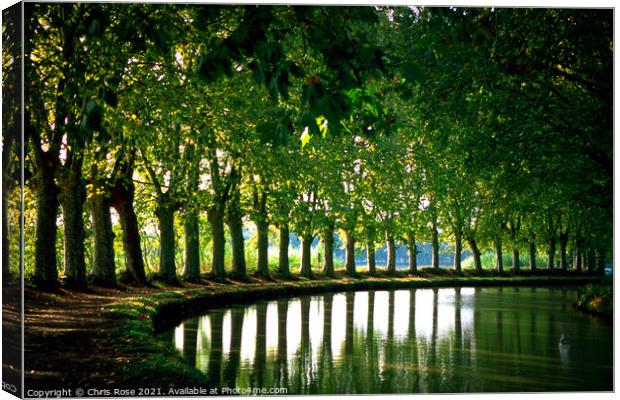 Canal du Midi, Capestang Canvas Print by Chris Rose