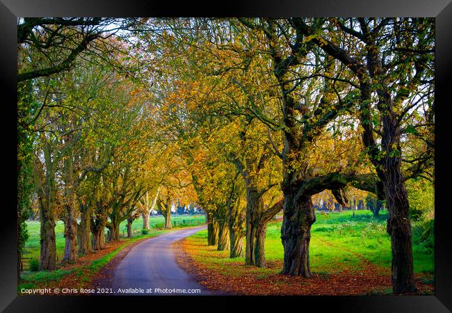 Autumn country lane Framed Print by Chris Rose