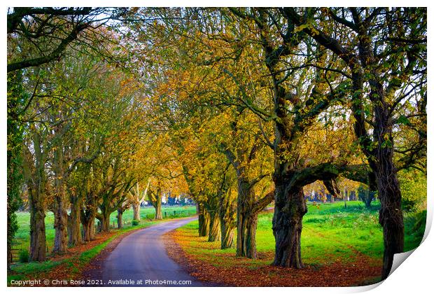 Autumn country lane Print by Chris Rose