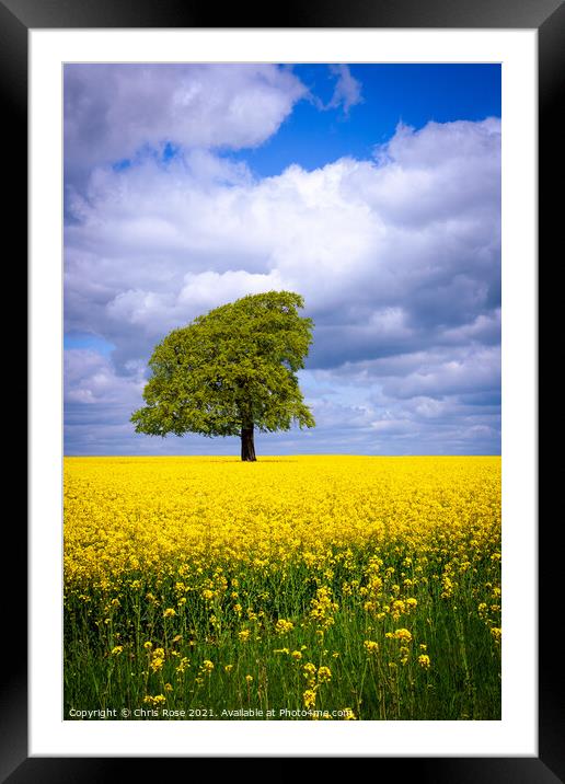 Cotswolds countryside Framed Mounted Print by Chris Rose