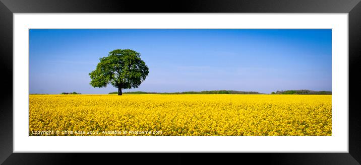 Cotswolds countryside Framed Mounted Print by Chris Rose