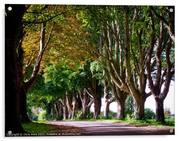 Tree lined country lane Acrylic by Chris Rose