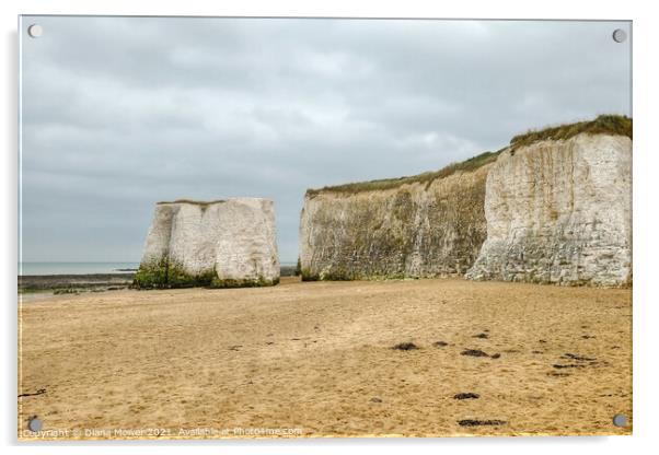 Botany Bay Beach Acrylic by Diana Mower