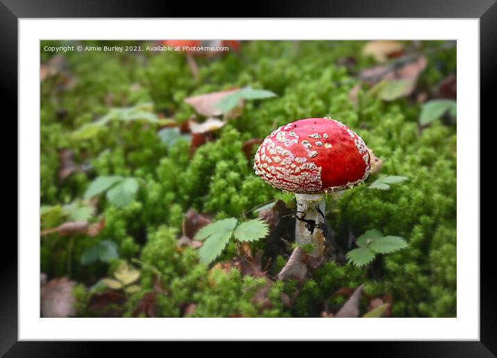 Fly Agaric in Moss Framed Mounted Print by Aimie Burley
